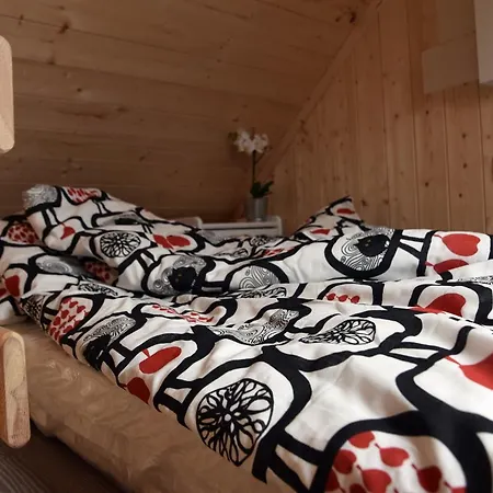 Sloneczna Przystan Apartment Debki